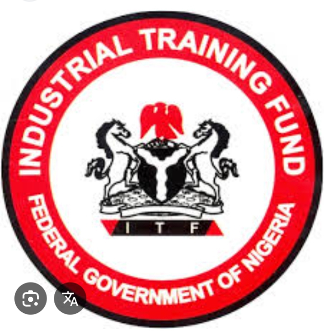 ITF to launch business incubation programme for SUPA Artisans