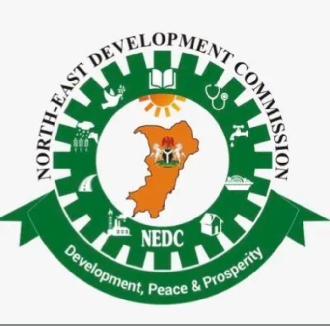 NEDC Has Expressed Satisfaction With The Progress Of Ongoing Bridges Construction In Yobe